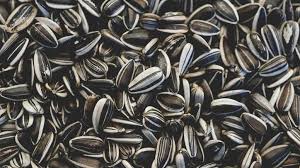 Sunflower seeds 250g packet