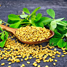 Meti / Methi seeds 100g Pack