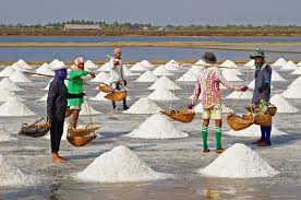 Salt 500g packet