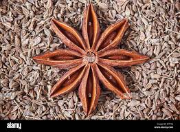 Star anise 10g pack