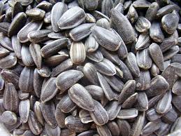 Sunflower seeds 250g packet