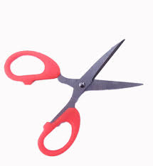 Savage Scissors 4.5 -inch