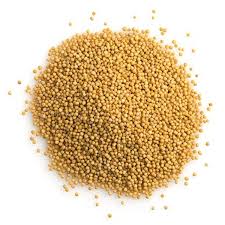 "Sorse"  / Mustard Seeds 500g Pack