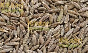 Jeera / Cumin  (top) 100g Pack