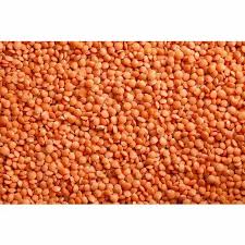 Musur / Munsur  Dal  (small - satex) 500g