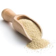 Dried yeast powder 20g