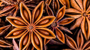 Star anise 10g pack